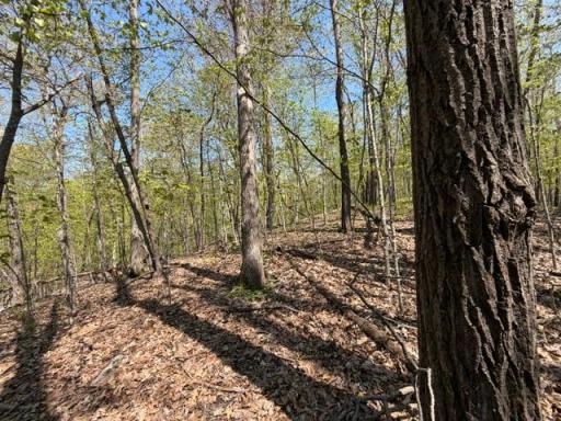 48990 County Highway 17, Vergas, MN 56587