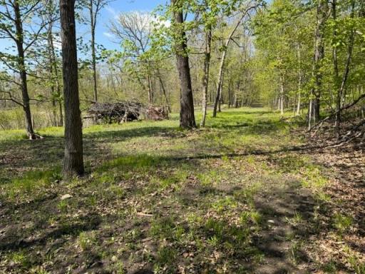 48990 County Highway 17, Vergas, MN 56587