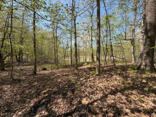 48990 County Highway 17, Vergas, MN 56587