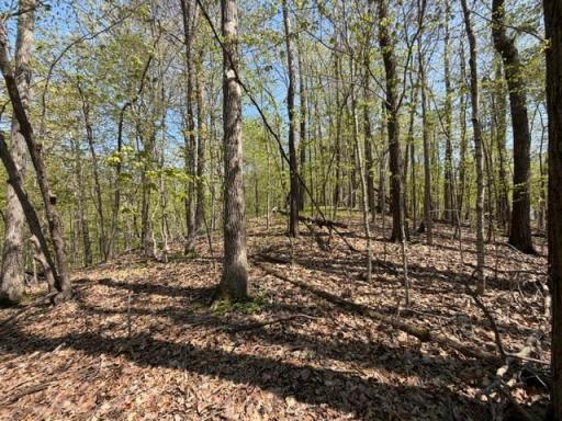 48990 County Highway 17, Vergas, MN 56587