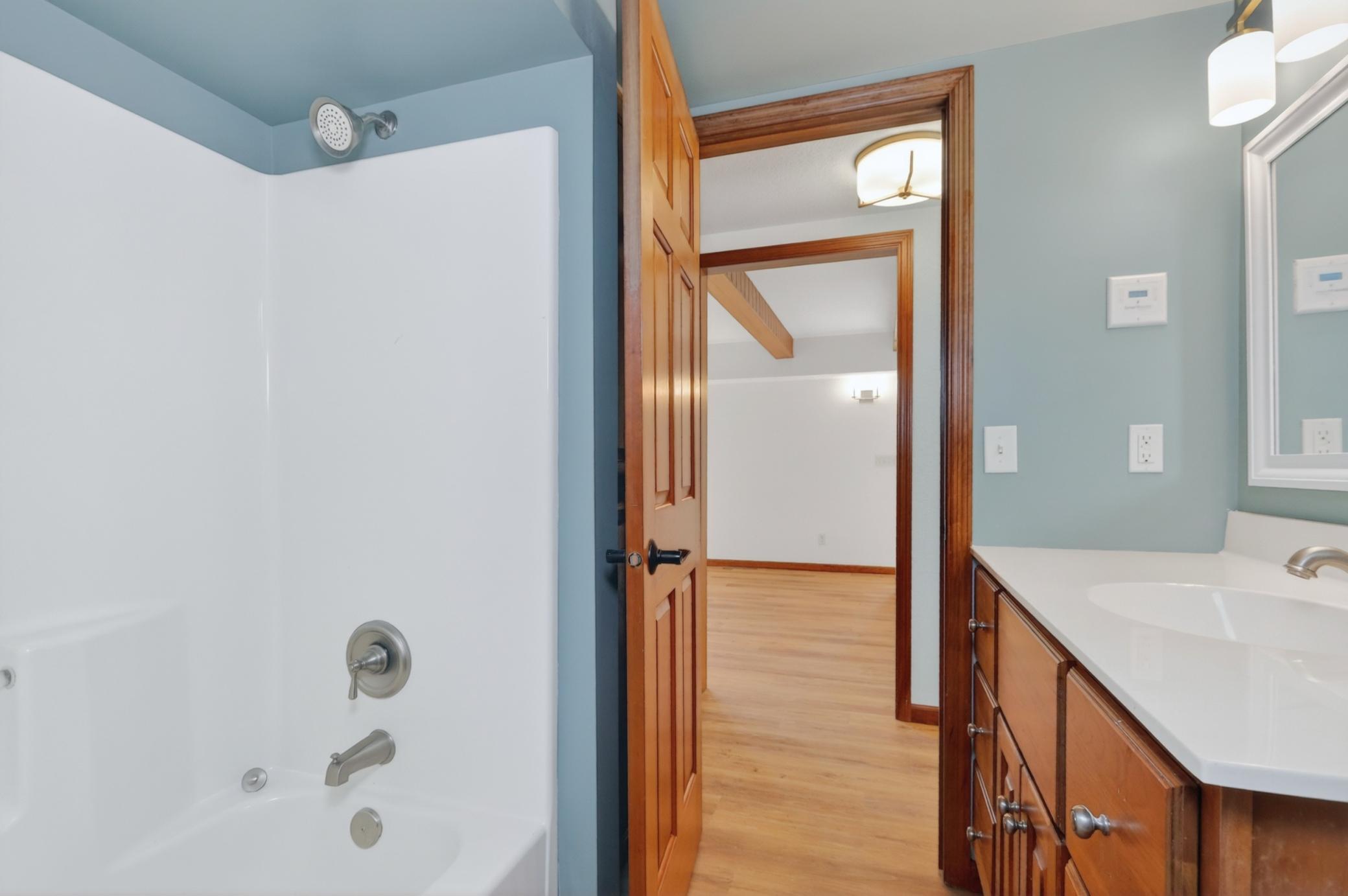 Lower Level Bathroom