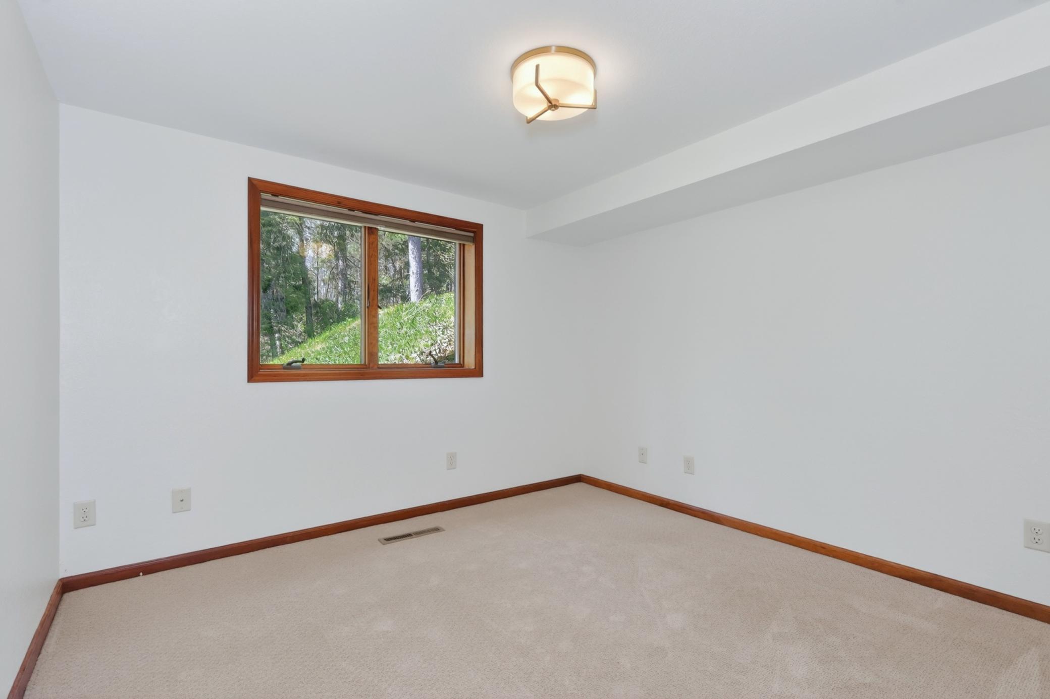 Lower Level Bedroom