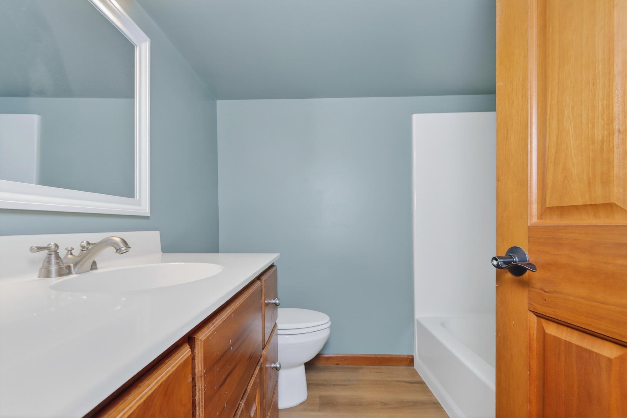 Lower Level Bathroom