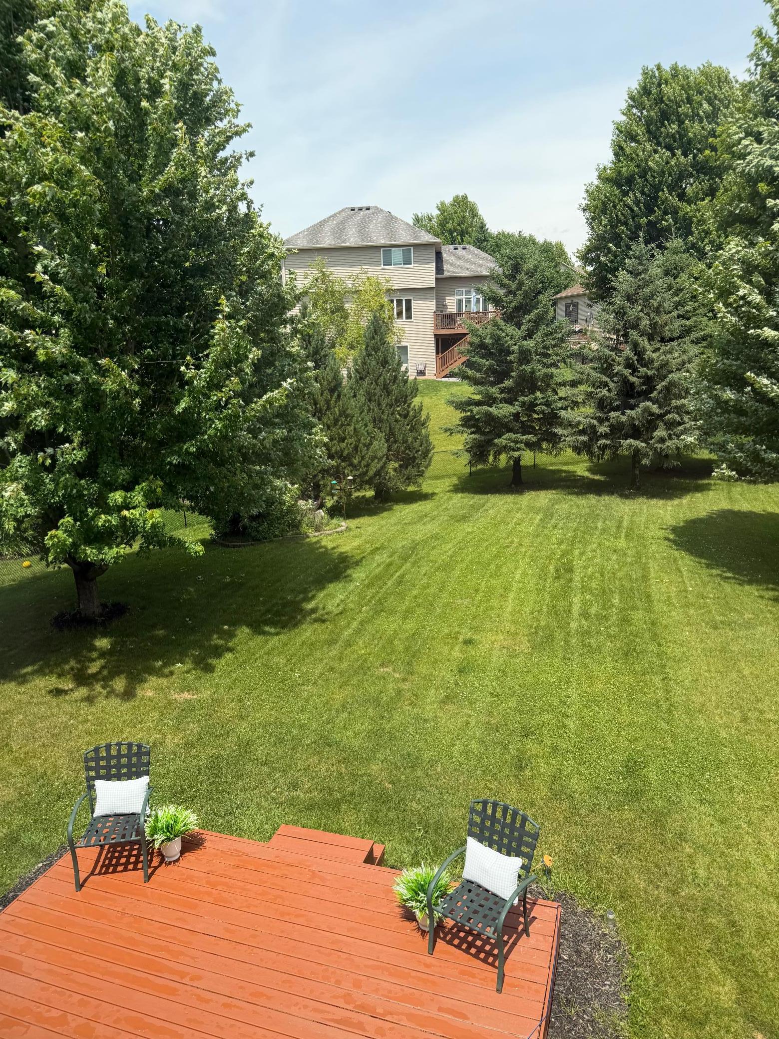 Gorgeous back yard