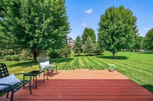 Nice Deck, huge trees, mature landscaping in Back 120