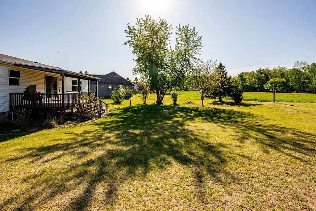 Rear Yard