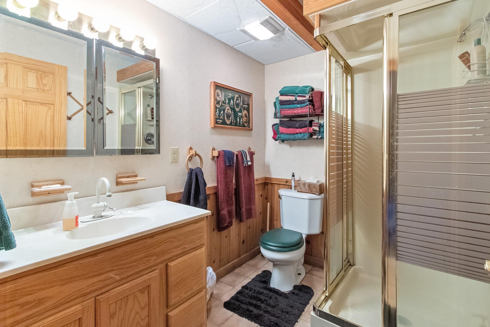 Lower Level Bath