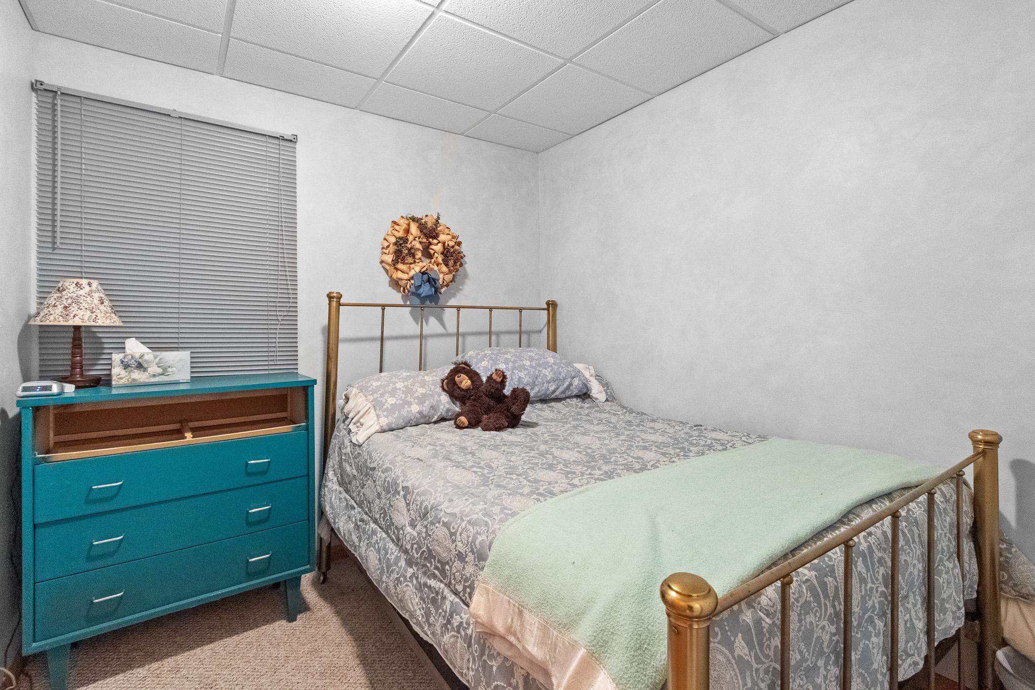 Lower Level Bedroom