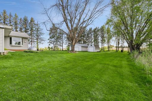 Massive backyard w/ tons of mature trees!