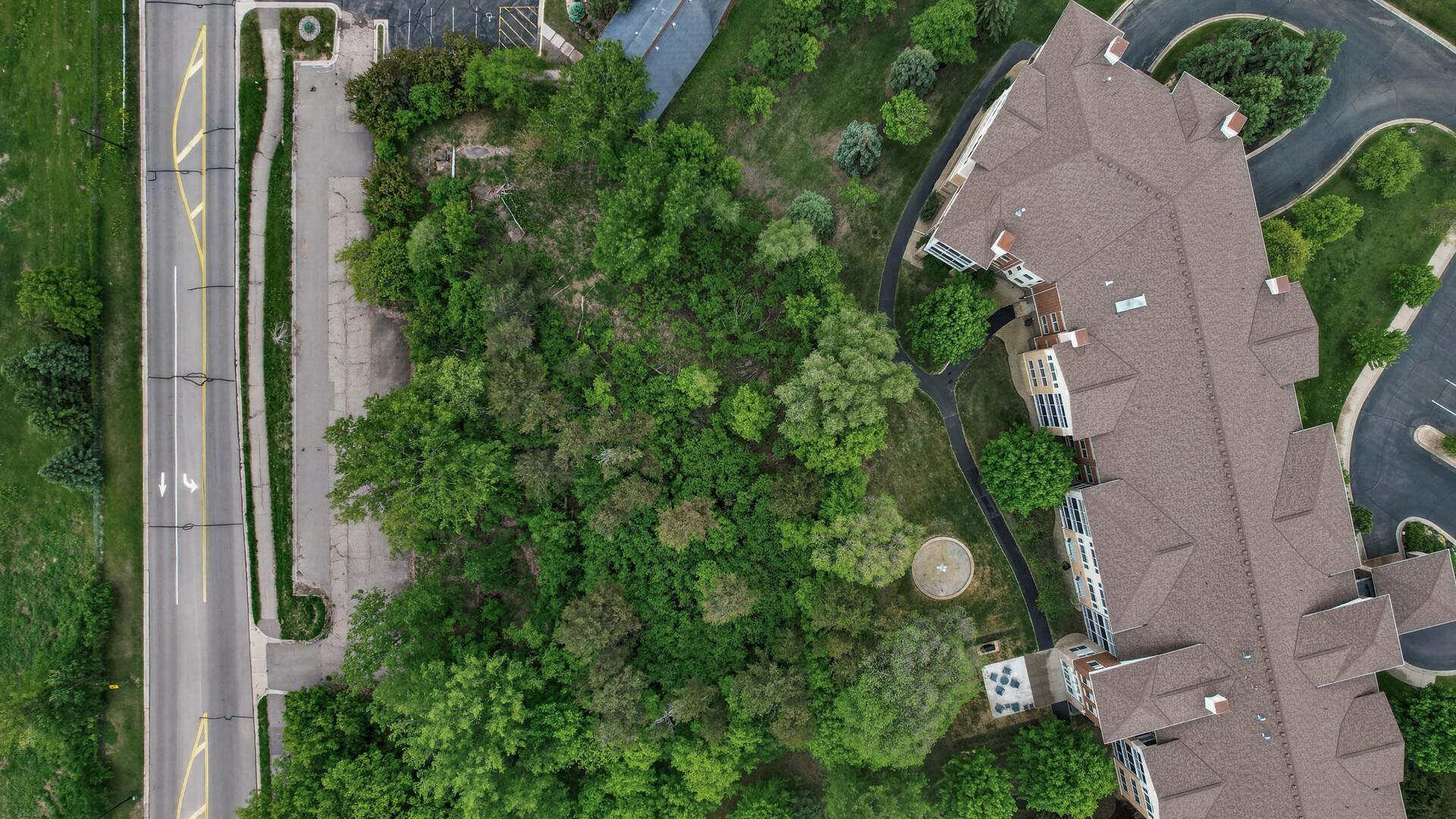12_15080_Buck_Hill12_mls.jpg
