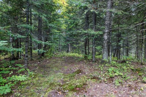 7885 Lake Fourteen Road, Britt, MN 55710