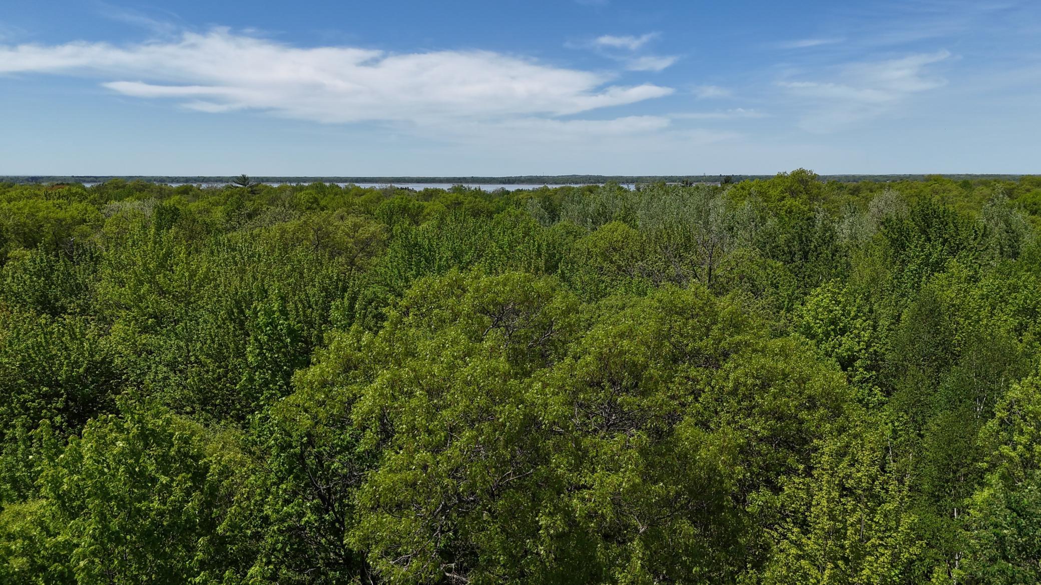 dji_fly_20260527_131814_0354_1779906548943_photo_beautify.jpeg