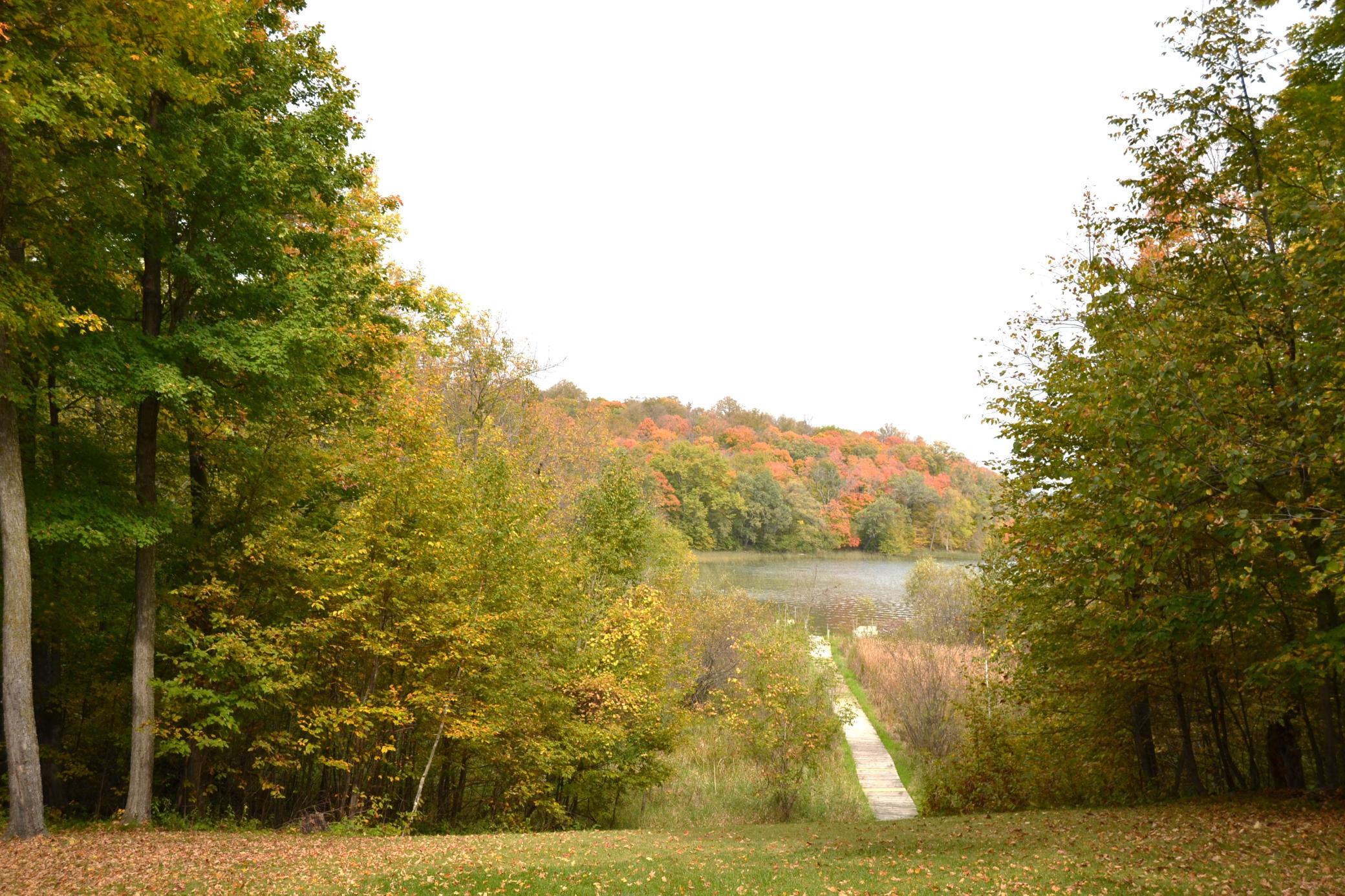 view from patio