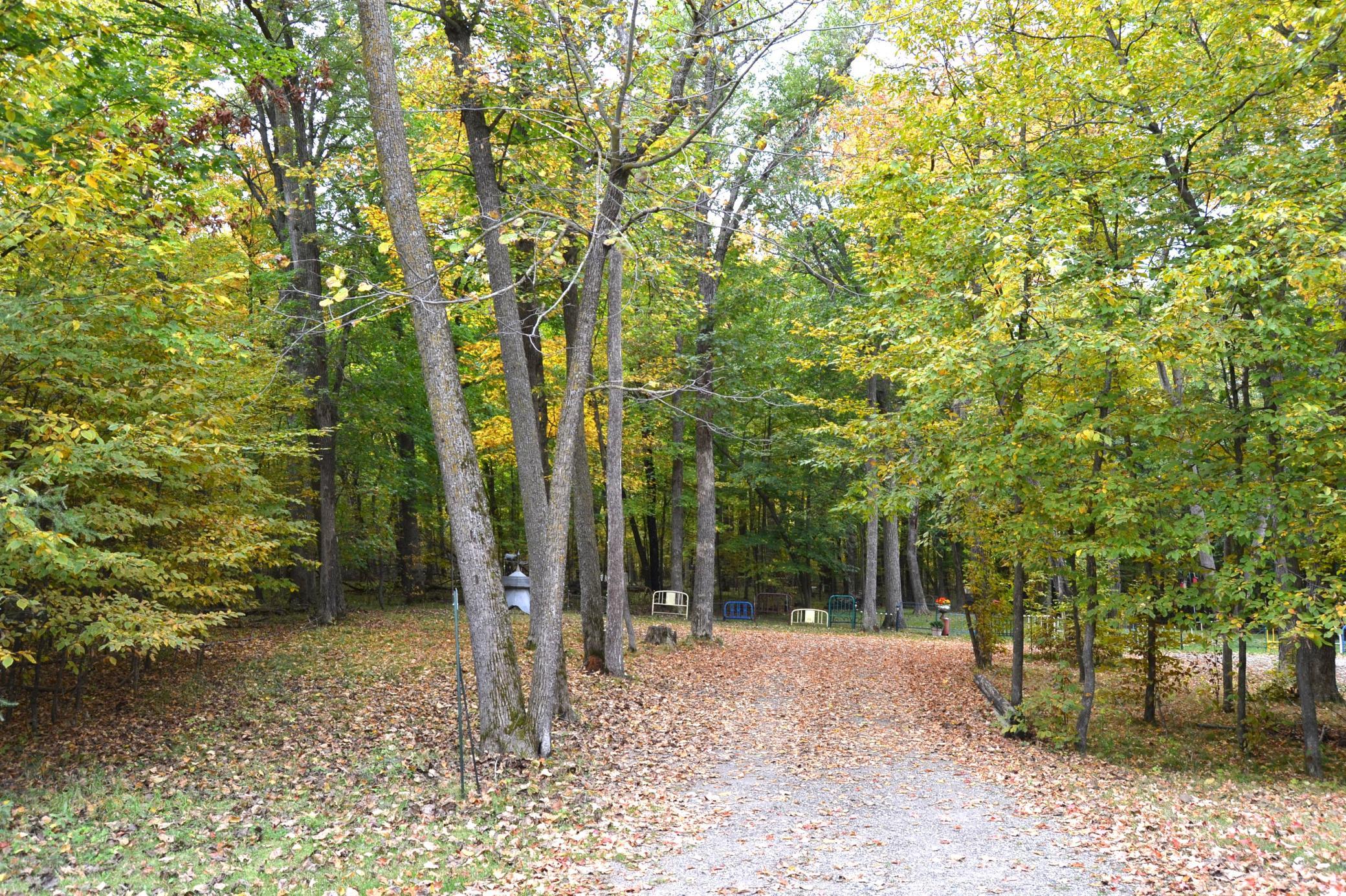 Driveway to home
