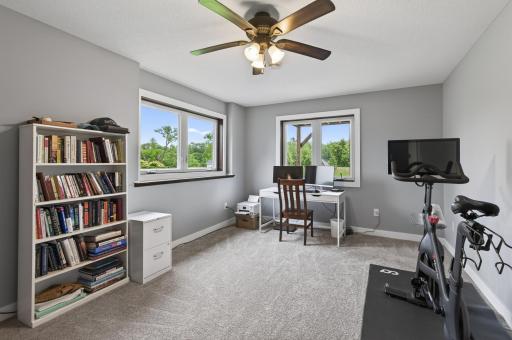 Yet another lower level bedroom with views and TWO walk in closets.