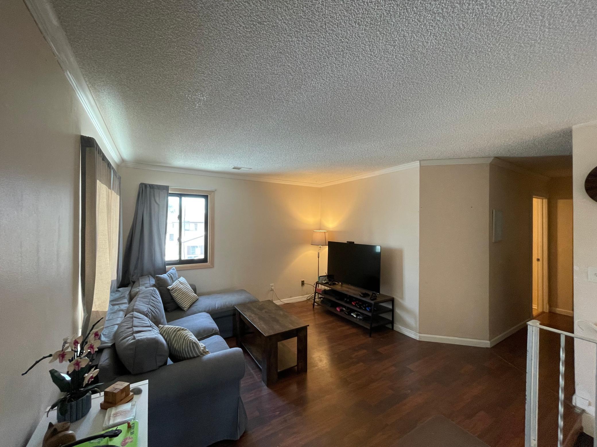 Living Room 1