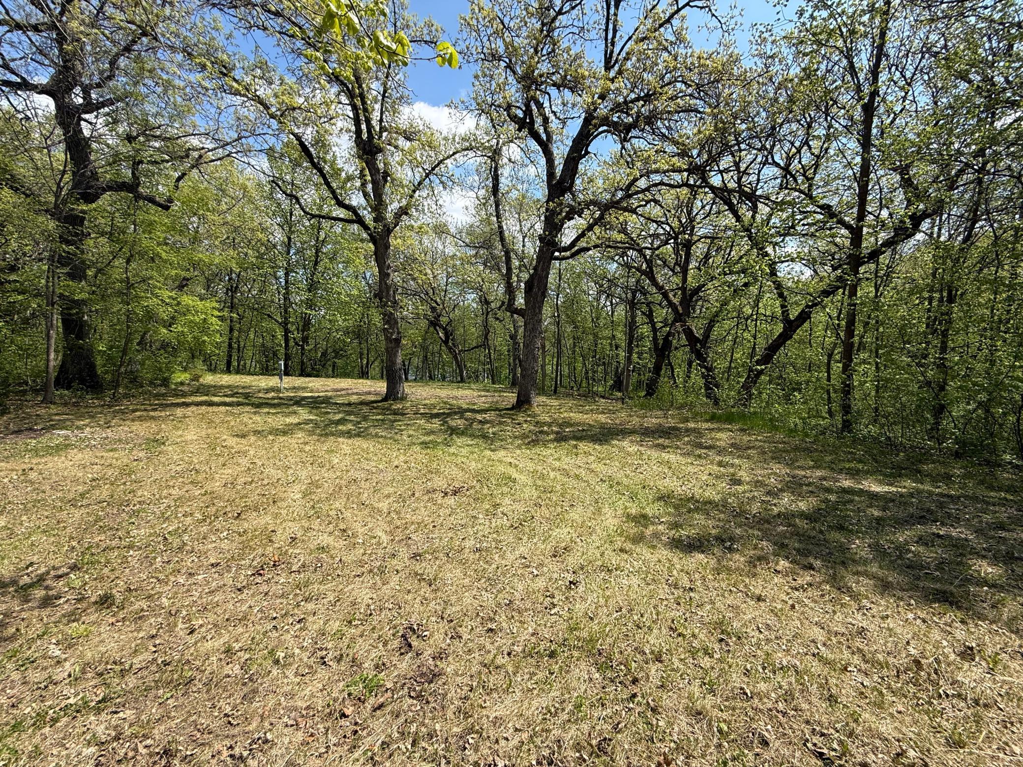 Cleared area with electrical