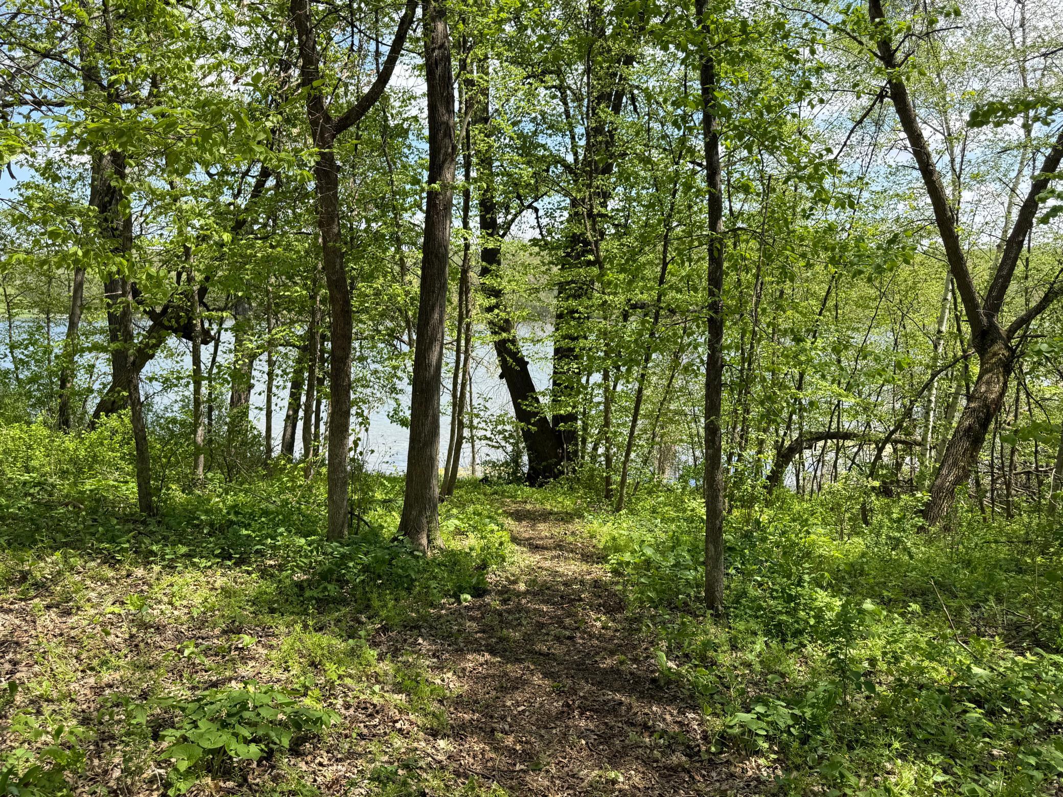 Trail to lake