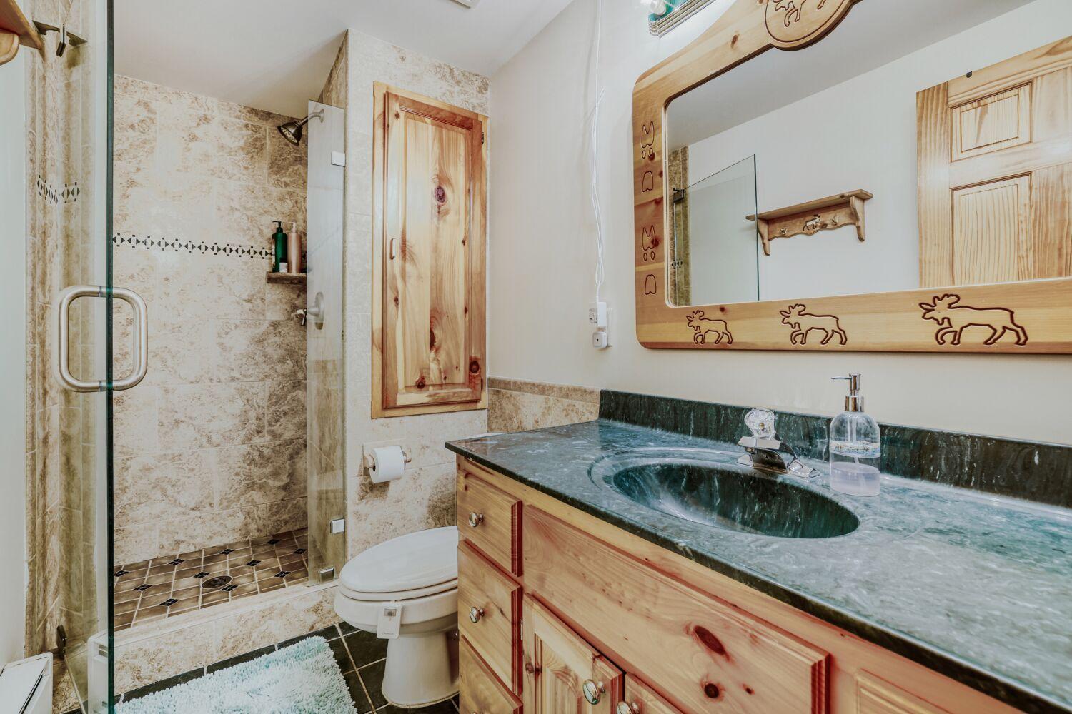 Lower level 3/4 bath.