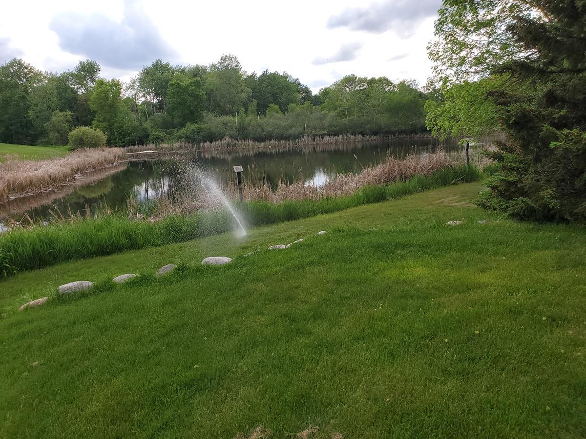 View of the backyard overlooking the pond. In-ground sprinkler system
