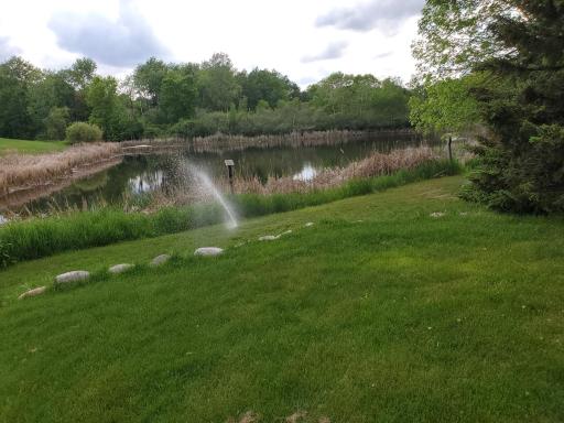 View of the backyard overlooking the pond. In-ground sprinkler system