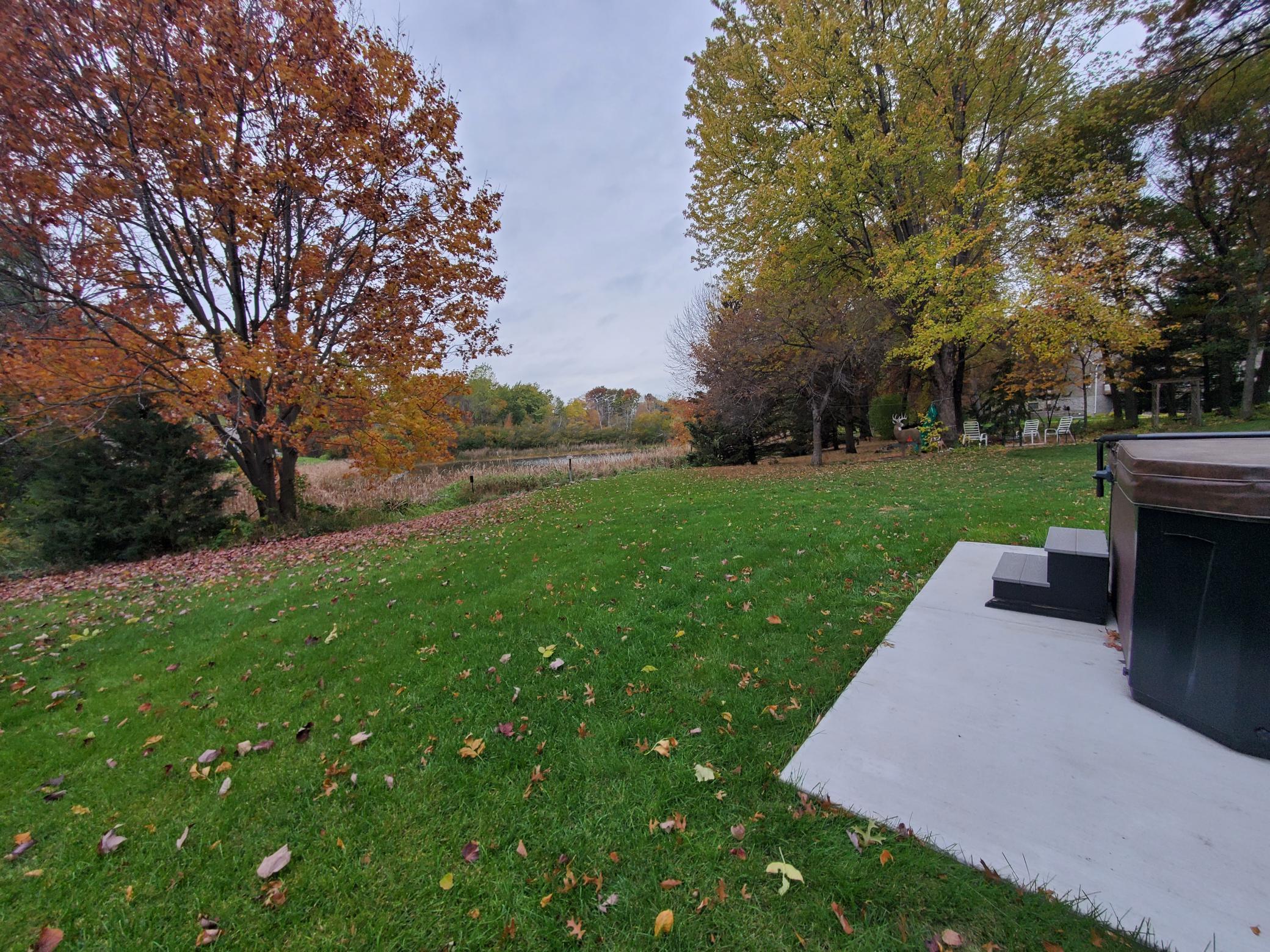 Backyard with concret pad/patio