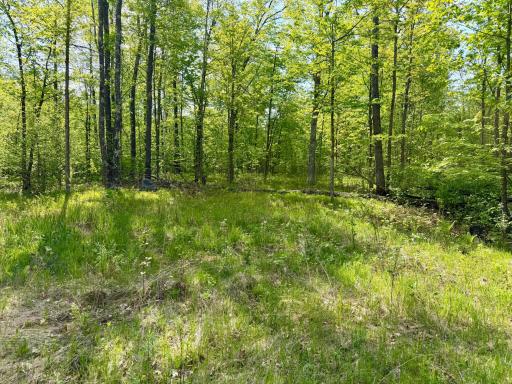 9072 County 8 NE, Remer, MN 56672