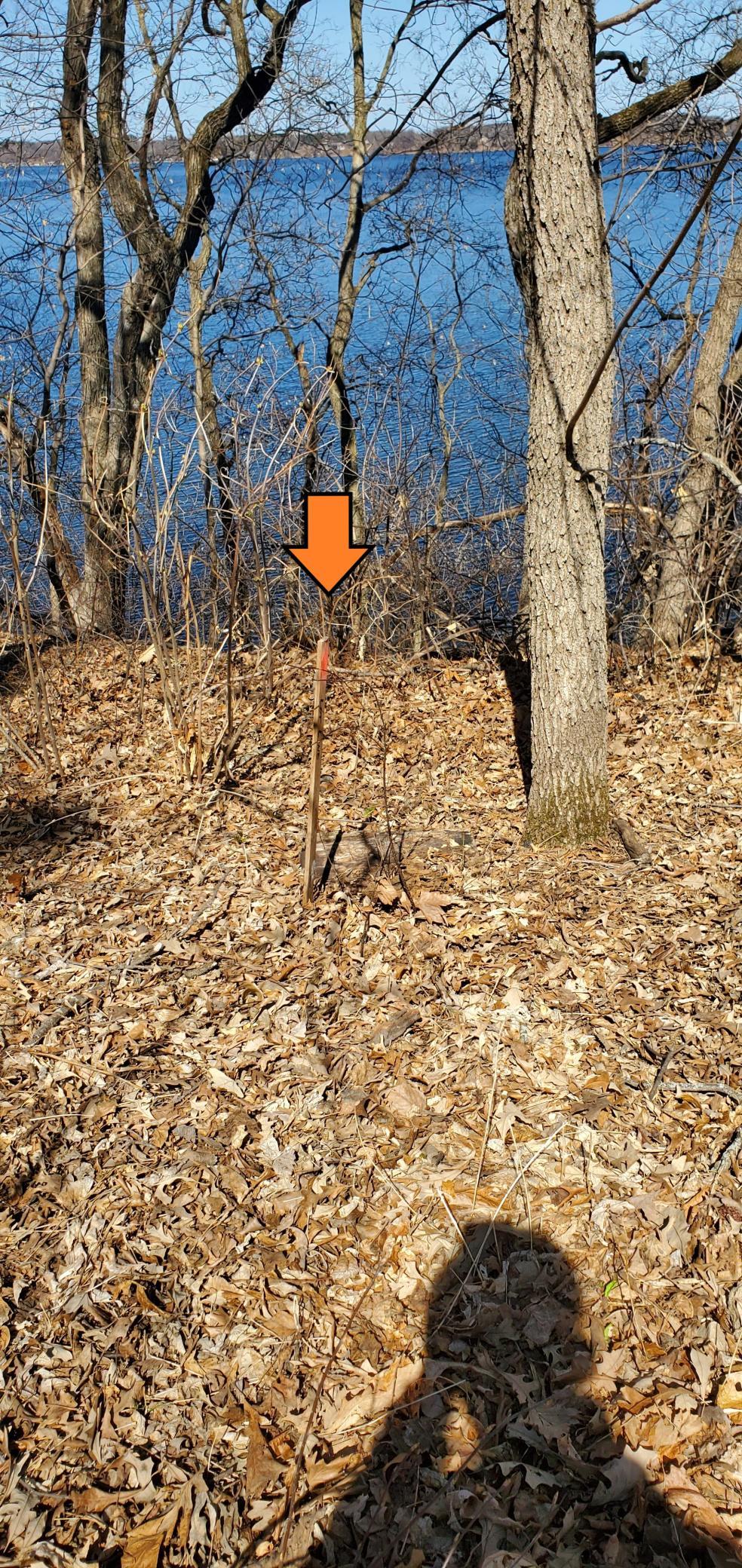 20210401_122513.jpg