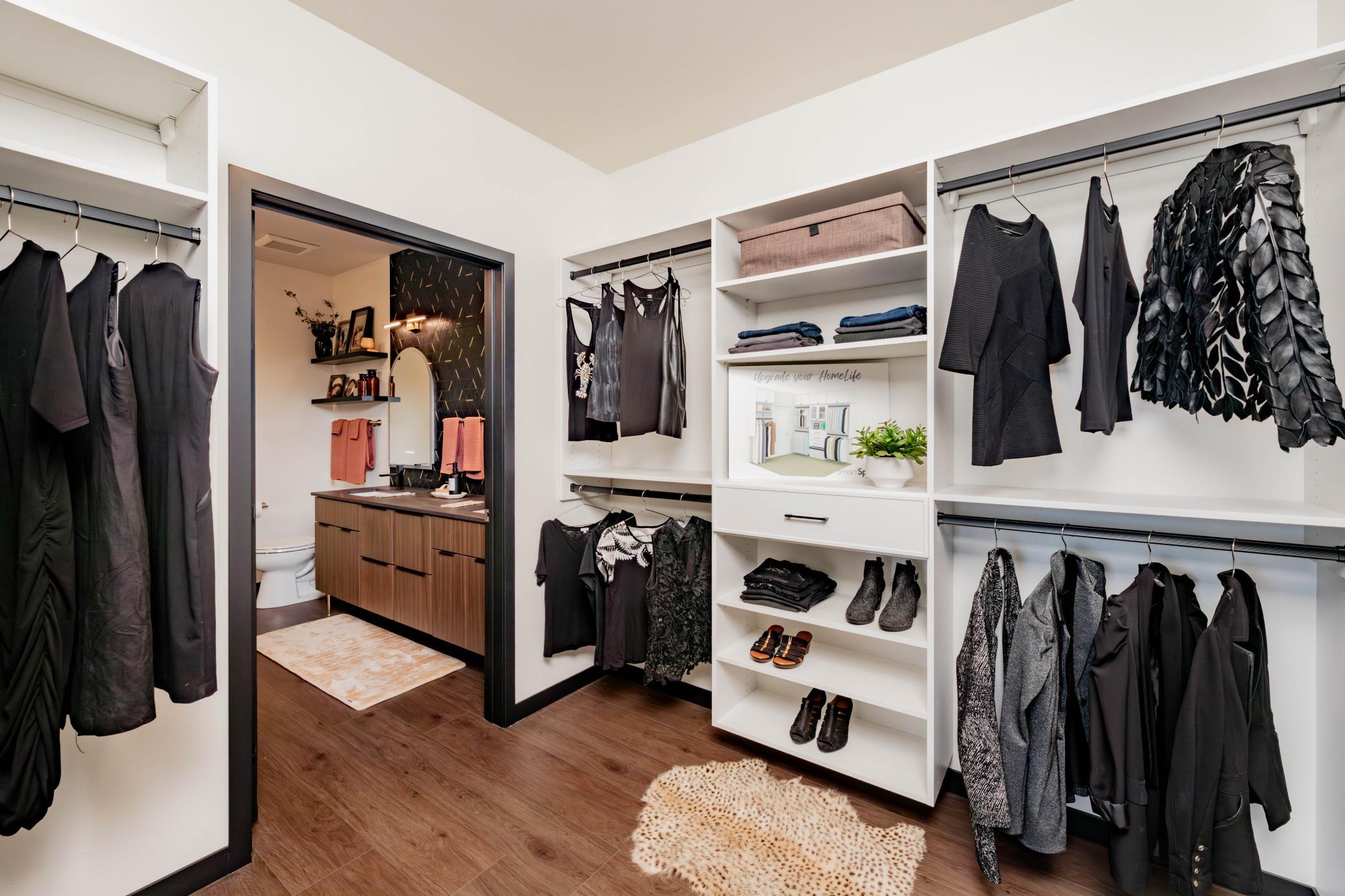 Primary Closet