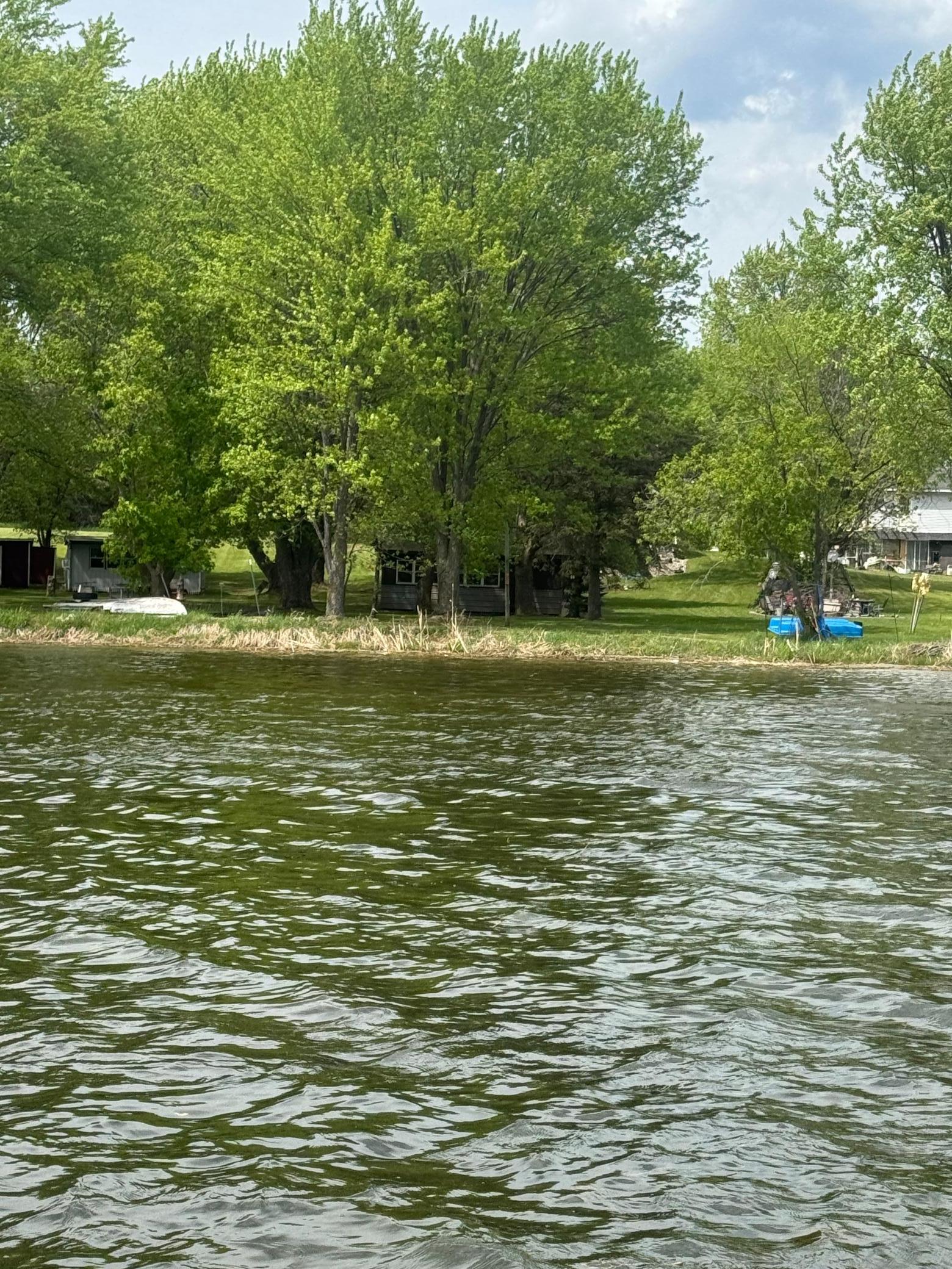 from lake