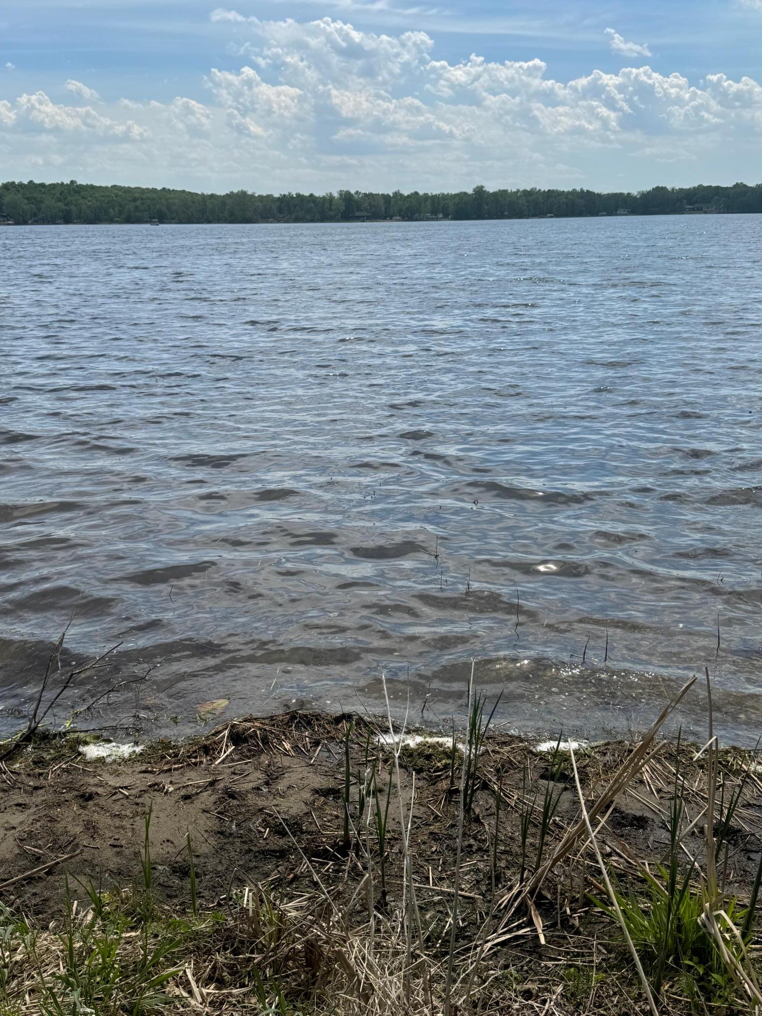 shore