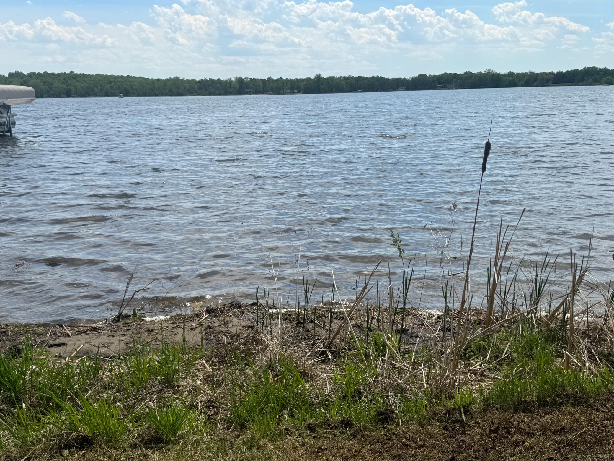 shore