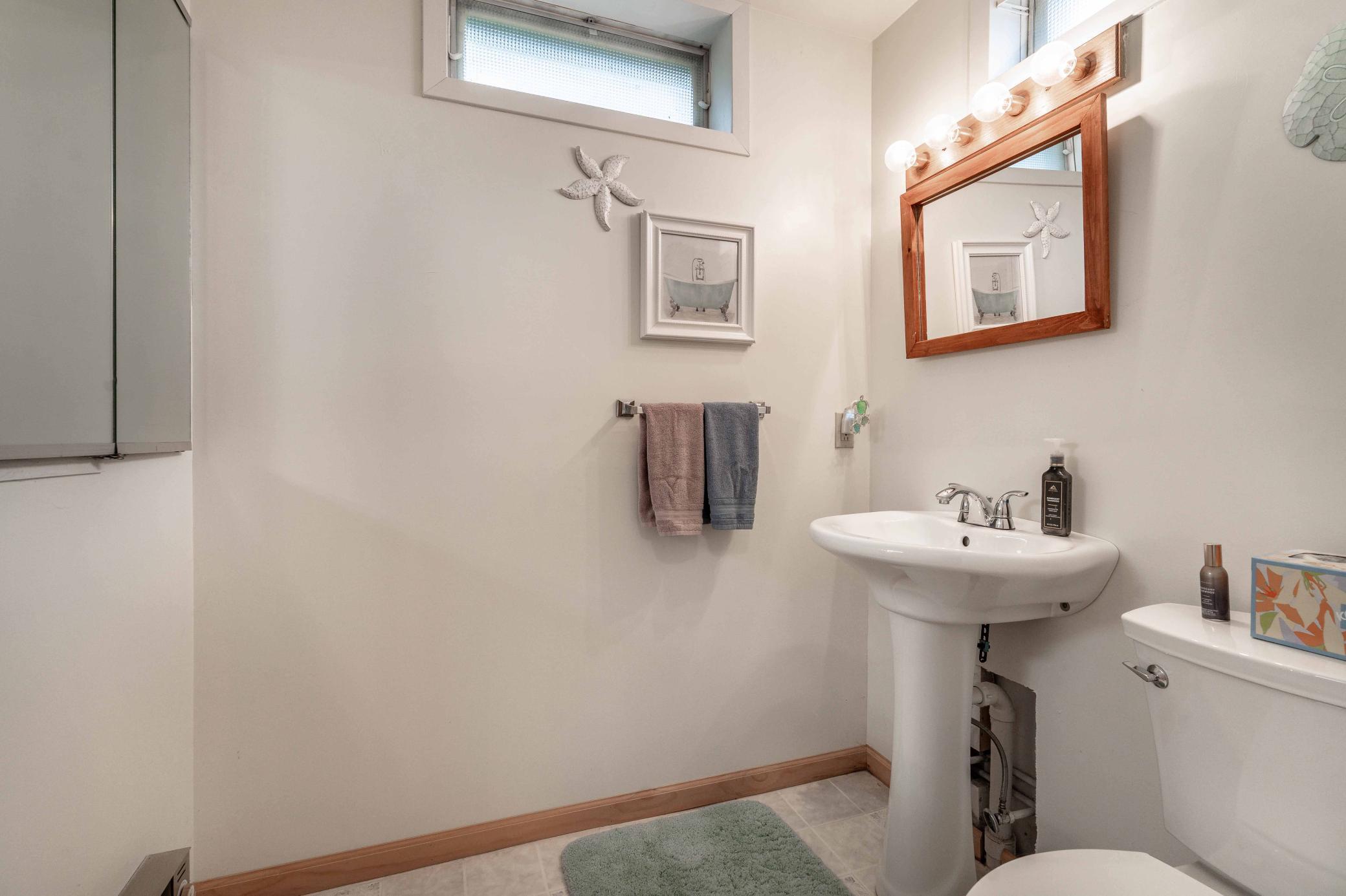 Lower level bathroom