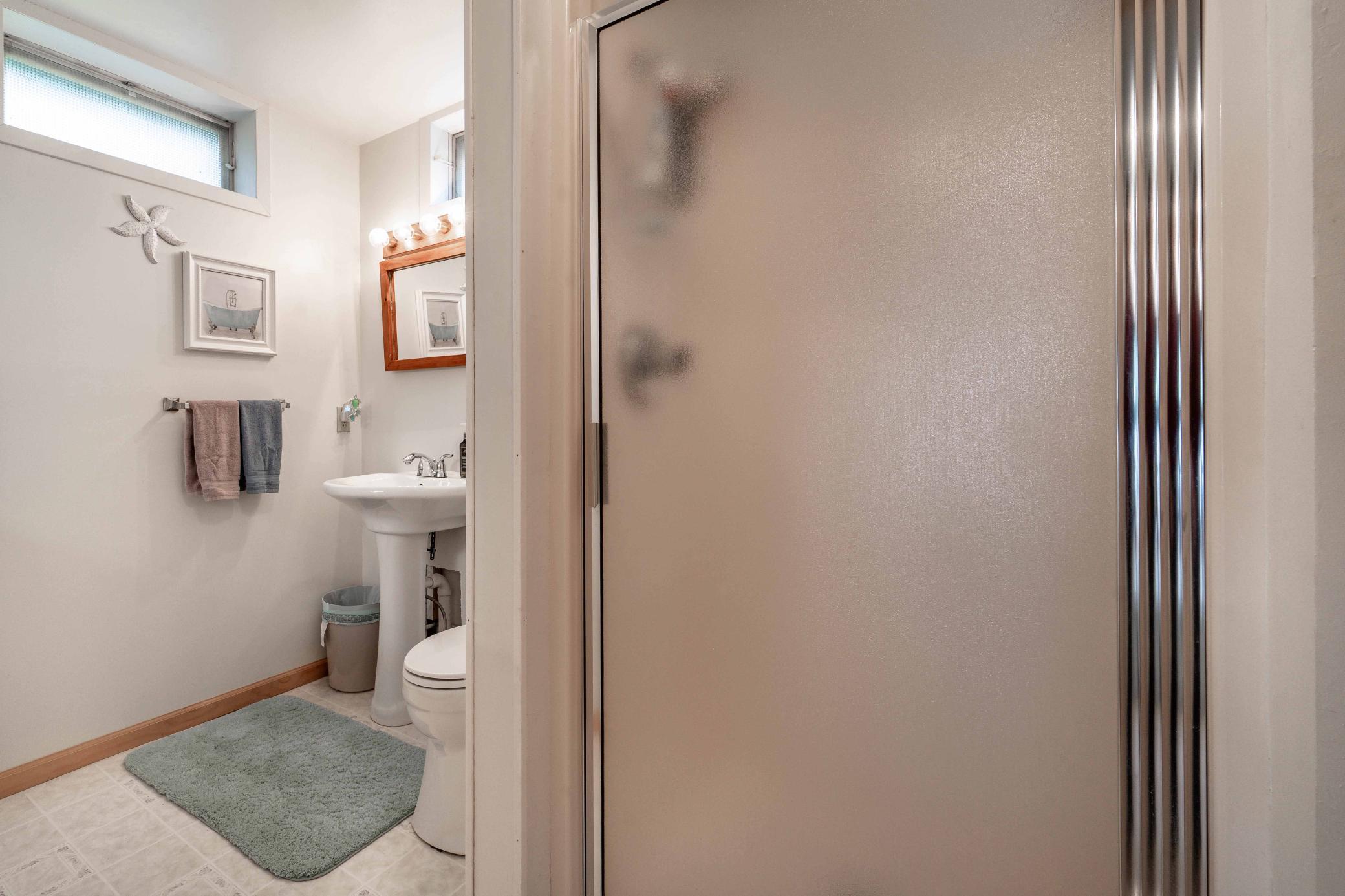 Lower level bathroom