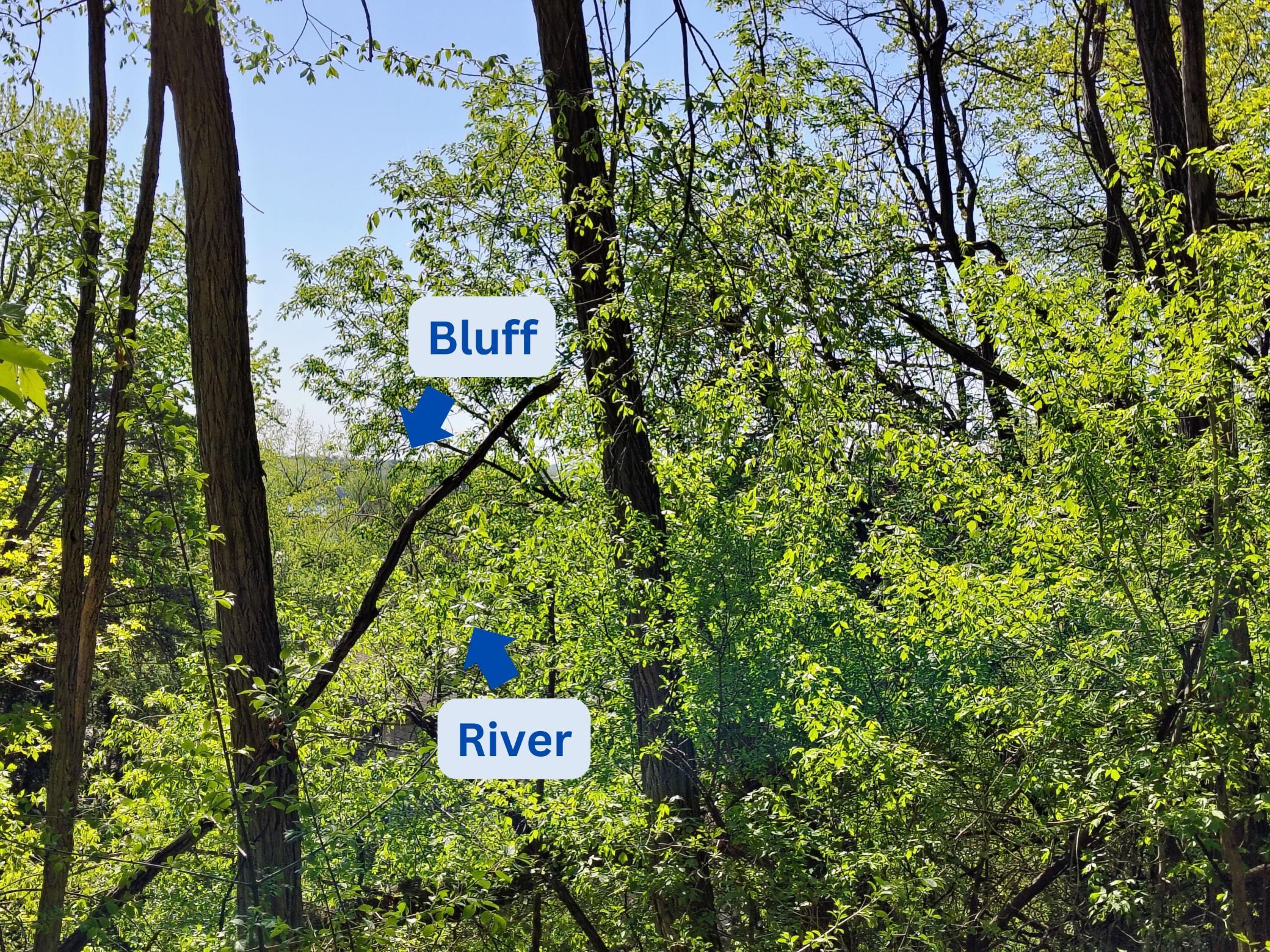 Views of the St Croix River and Bluff views through the trees from the upper part of this hillside location