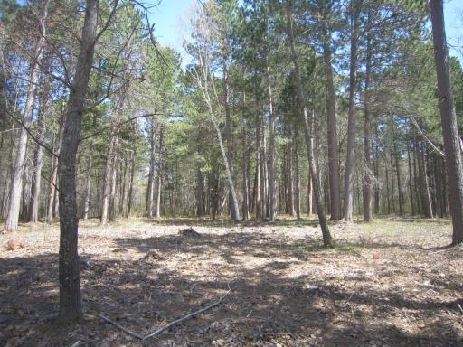 Lot 6 Among Forest & Lakes Drive, Cass Lake, MN 56633