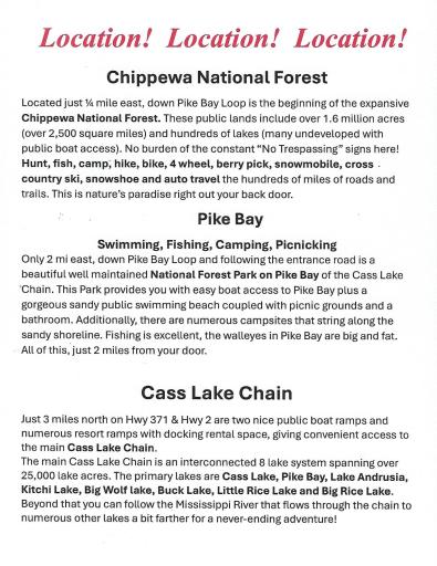 Lot 6 Among Forest & Lakes Drive, Cass Lake, MN 56633
