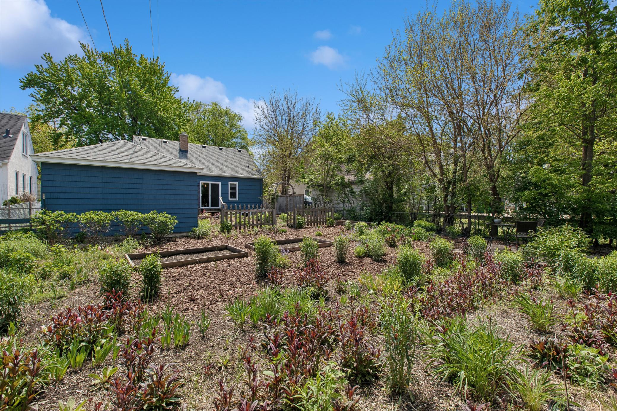 Awesome feel in this back yard