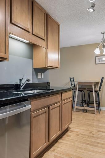 821 Douglas Avenue, 205, Minneapolis, MN 55403