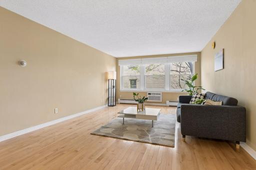 821 Douglas Avenue, 205, Minneapolis, MN 55403