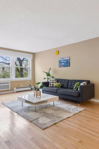 821 Douglas Avenue, 205, Minneapolis, MN 55403