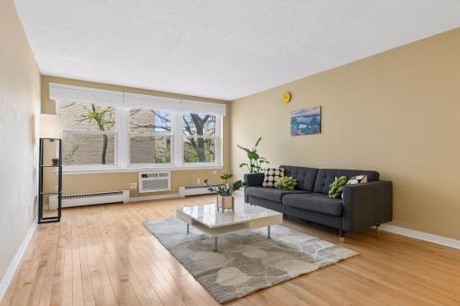 821 Douglas Avenue, 205, Minneapolis, MN 55403