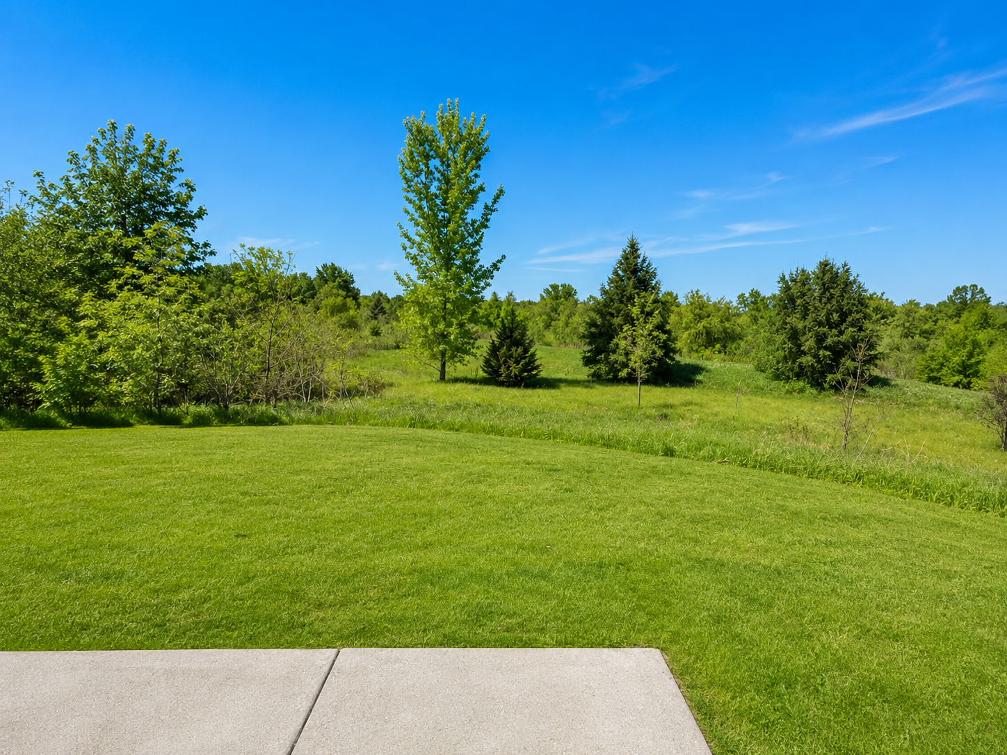 Your views from your walk-out backyard. Scenic nature to enjoy the peace.