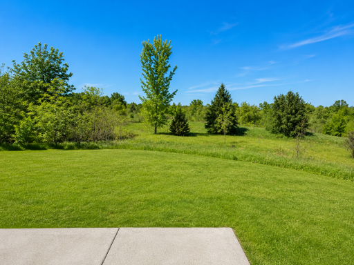 Your views from your walk-out backyard. Scenic nature to enjoy the peace.
