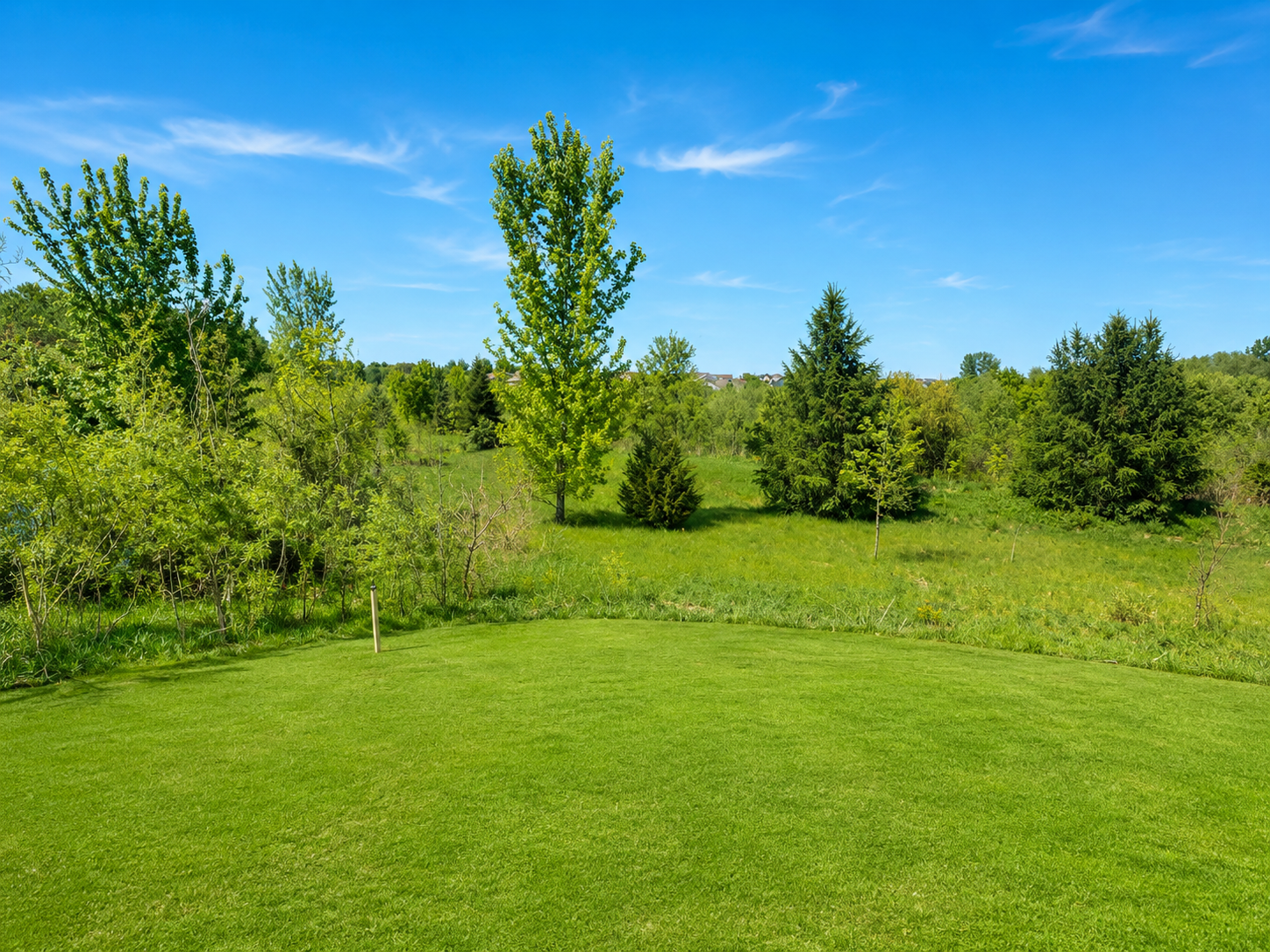 Another view of the nature views out your windows in the back. Great privacy and serene feels.