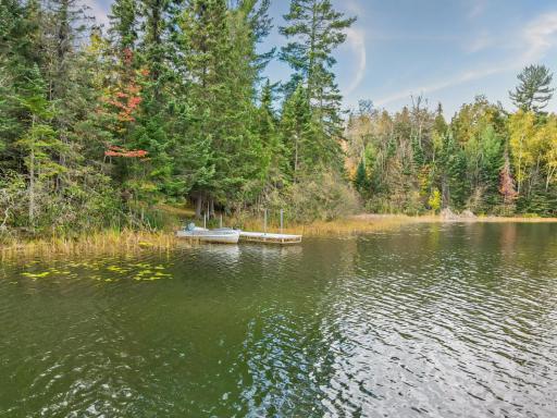 29658 W Mary Lake Drive, Bigfork, MN 56628