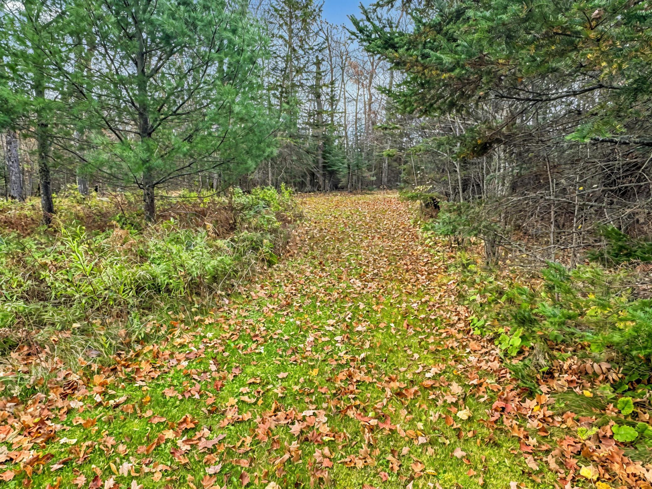 Trail