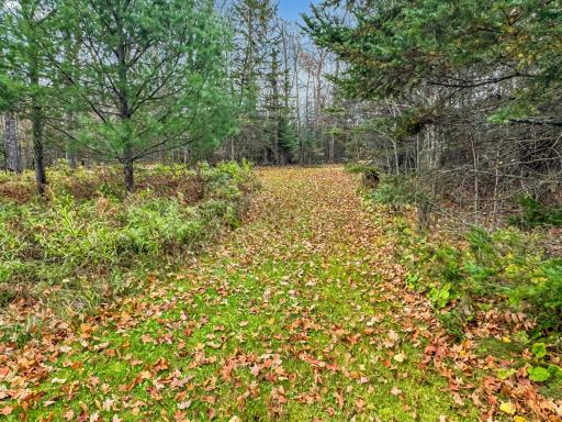 29658 W Mary Lake Drive, Bigfork, MN 56628
