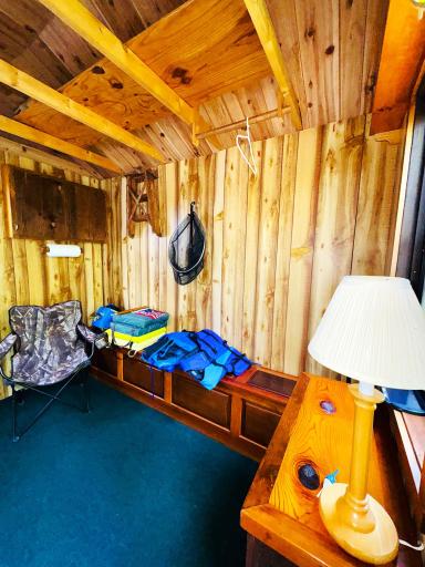 29658 W Mary Lake Drive, Bigfork, MN 56628