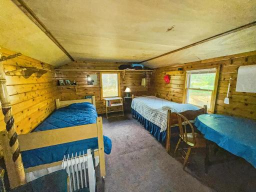 29658 W Mary Lake Drive, Bigfork, MN 56628